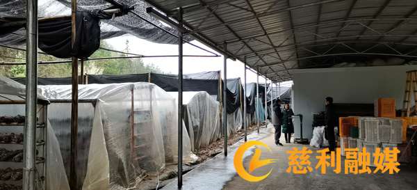 慈利县加快推进家庭农场示范创建