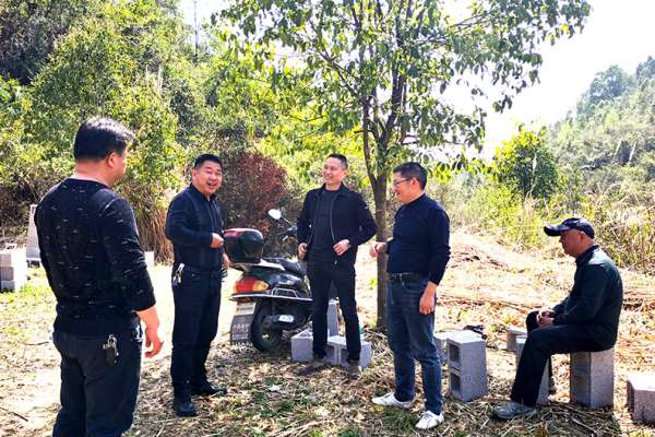 慈利县全面完成造林绿化任务90607亩