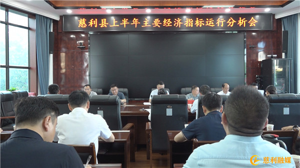慈利县上半年主要经济指标运行分析会召开