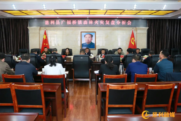 慈利县广福桥镇森林火灾复盘分析会召开