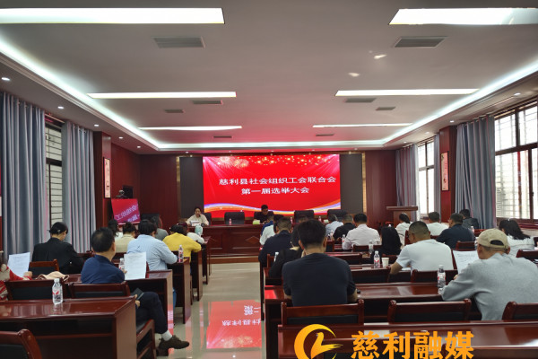 慈利县社会组织工会联合会正式成立