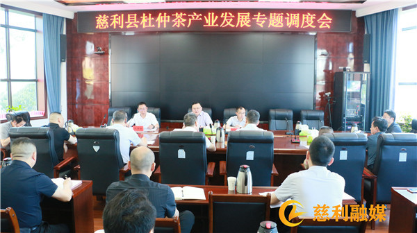 慈利县杜仲茶产业发展专题调度会召开