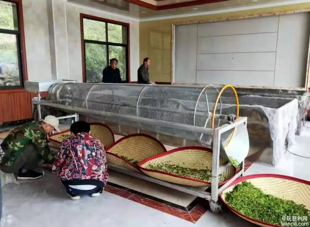微信图片_20250518081125.jpg