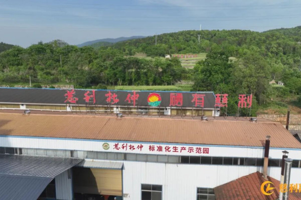 慈利县启动2025年农产品品牌打造与产销对接项目
