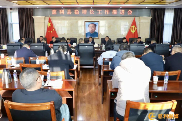慈利县稳增长工作推进会召开