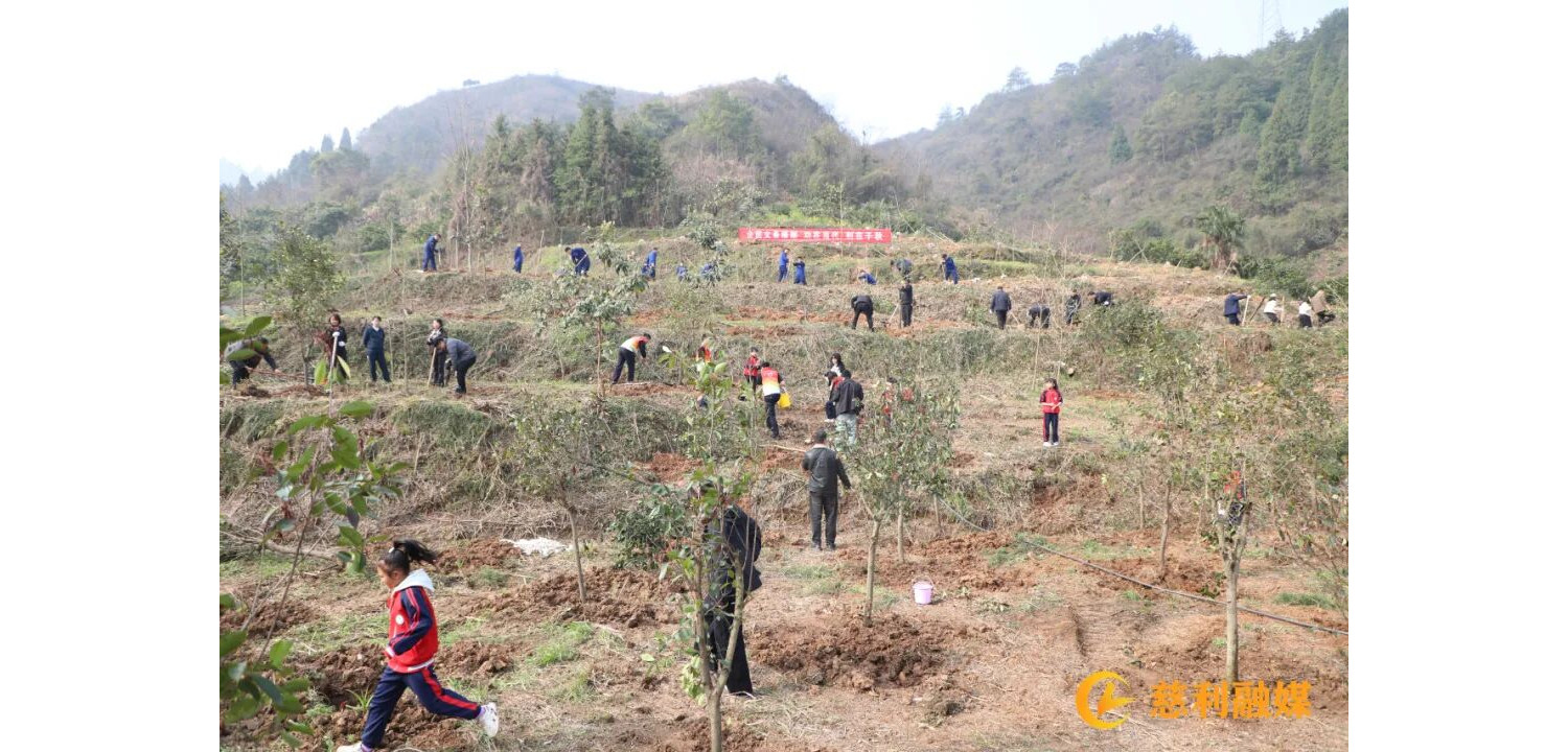慈利县2026年计划完成义务植树135万株
