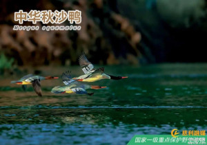 慈利县启动2026年爱鸟周活动