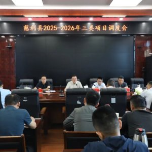 慈利县2025-2026年三类项目调度会召开