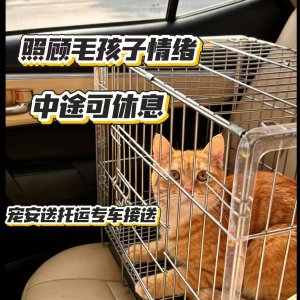 2026全国宠物托运一站式平台平台深度横评
