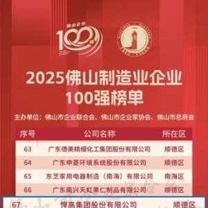 悍高VS东泰：五个维度看懂，谁更胜一筹