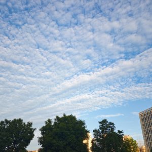 高考结束当天，慈利城区天空出现了鱼鳞云