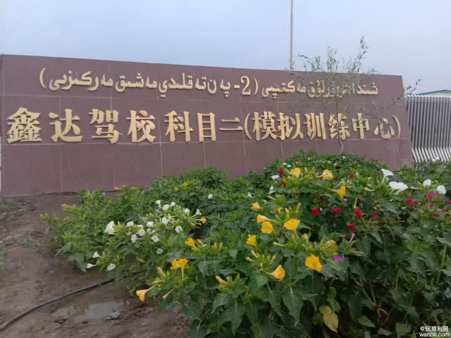 微信图片_2026-06-12_161856_678.jpg