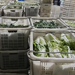揭秘中堂饭堂肉菜配送背后的秘密，新鲜食材究竟如何送达？ ...